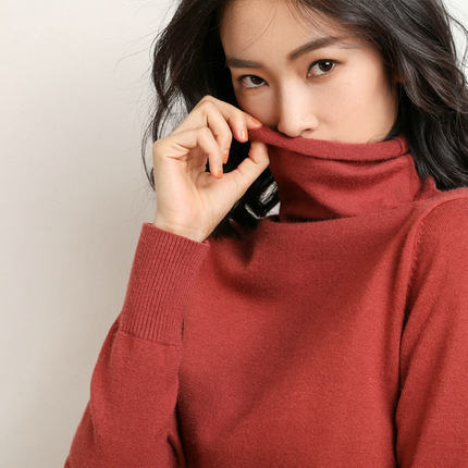 Women's Turtleneck Long Sleeve Top